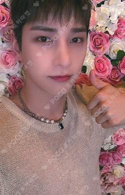 Lullua HANGYUL photocard image