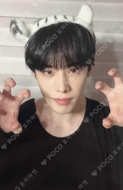 LOVE ME LIKE WITHDRAMA XEN photocard image