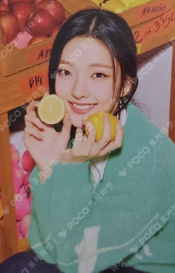 2023 SEASON'S GREETINGS TIN CASE PHOTO CARD SET