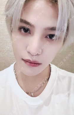 2025 WayV Concert Tour [NO Way OUT] EVERLINE LUCKY DRAW YANGYANG photocard image