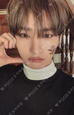 Youth Chapter 3 : ROMANTIC YOUTH EVERLINE