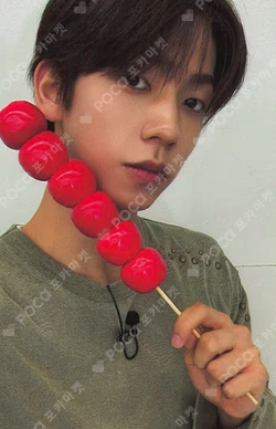 LEGGO PHOTO CARD RANDOM PACK