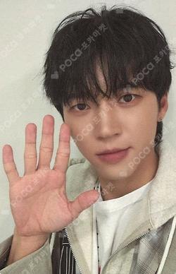 Tree Ring APPLEMUSIC NamWooHyun photocard image