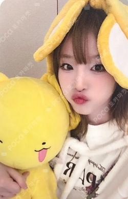 Blooming Wings Hellolive shop YENA photocard image