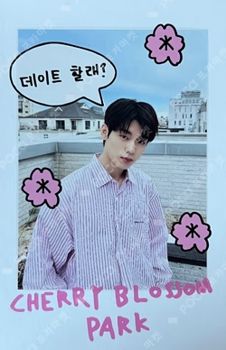 EVNNIZ POP-UP STORE CHERRY BLOSSOM PARK RANDOM POLAROID PACK