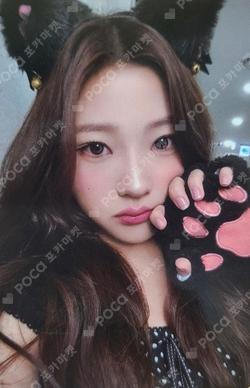 STYLE EVERLINE LUCKY DRAW Stella photocard image