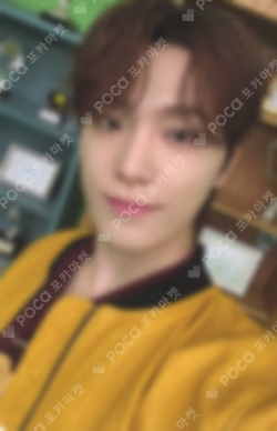 2025 SVT 9TH FAN MEETING SEVENTEEN in CARAT LAND PVC Pouch Photo Keyring DINO photocard image
