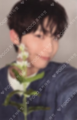 宵 -YOI- WEVERSE SUNOO photocard image