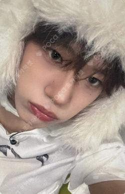 Snowy Summer BROADCAST
