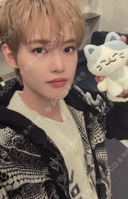 NCT DREAM Dreamiez PLUSH CHENLE photocard image