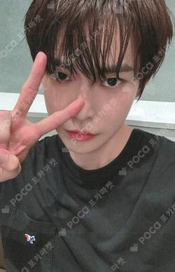 Soar K-MONSTAR DOYOUNG photocard image