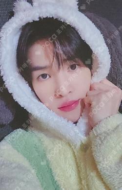 Dare to Crave MAKESTAR ALLEN photocard image