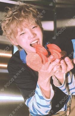 Snowy Summer ID Card Ver. POCAALBUM Ver. KENSHIN photocard image