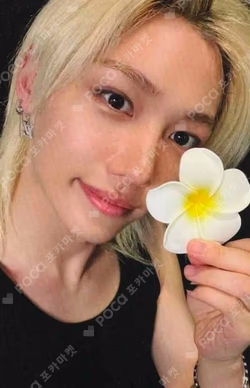 KARMA EVERLINE FELIX photocard image