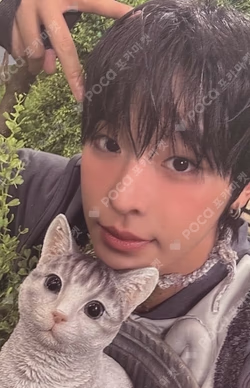 COLOR Jewel Case Ver. Individual Ver. RIKU photocard image