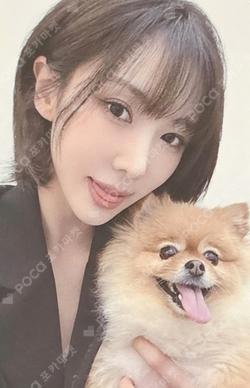 Playlist #You Are You DREAMCATCHER OFFICIAL STORE LUCKY DRAW