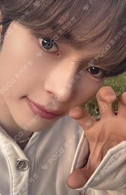 NEVER SAY NEVER CD SHOP LUCKY DRAW SUNG HANBIN photocard image