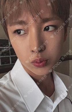 COLOR YUSHI photocard image