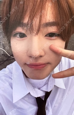 COLOR SAKUYA photocard image