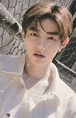 NEVER SAY NEVER SCENTS Ver. ZHANG HAO photocard image