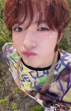 COLOR APPLEMUSIC SAKUYA photocard image