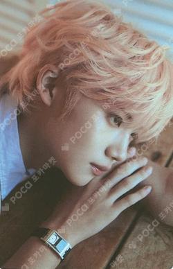 ETERNALT POCA ALBUM Ver. KENSHIN photocard image