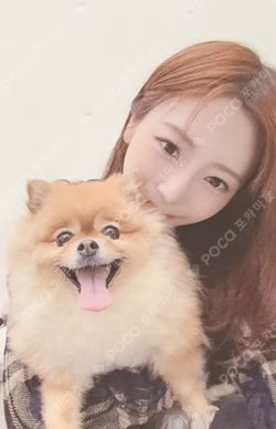 Playlist #You Are You DREAMCATCHER OFFICIAL STORE LUCKY DRAW