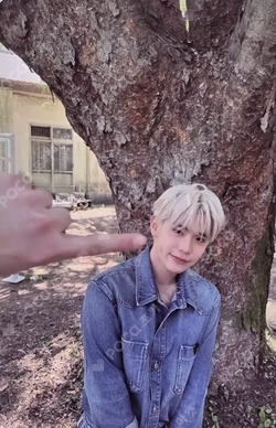 NEVER SAY NEVER PHOTOBOOK Ver. ORDINARY Ver.