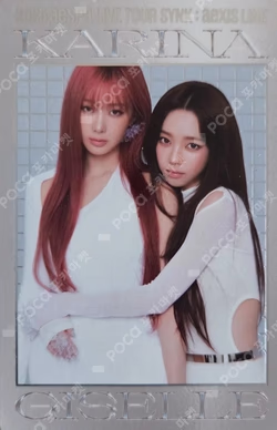 2025 aespa LIVE TOUR SYNK : aeXIS LINE RANDOM TRADING CARD SET Y ver.
