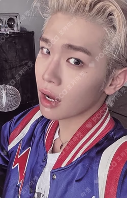 NEVER SAY NEVER PHOTOBOOK Ver. ICON Ver.