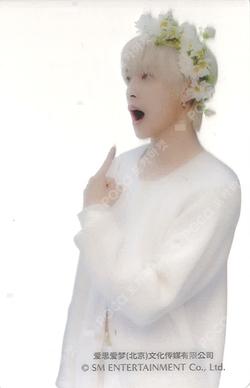 2023 SEASON'S GREETINGS YANGYANG photocard image