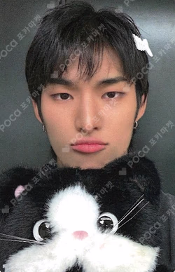 SILENCE SYNDROME Hellolive shop