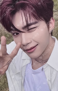 NEVER SAY NEVER PHOTOBOOK Ver. ICON Ver.