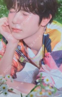 COLOR YPBOOKS RYO photocard image
