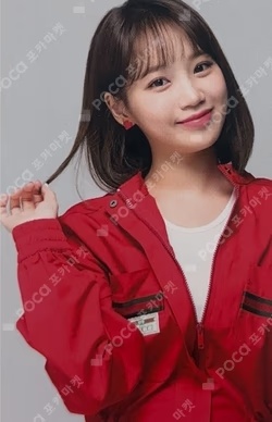 Twelve Random Photocard