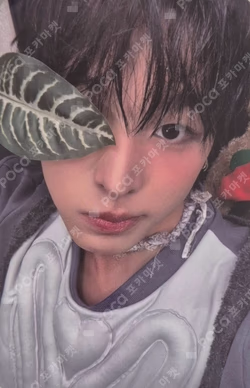 COLOR KTOWN4U RIKU photocard image