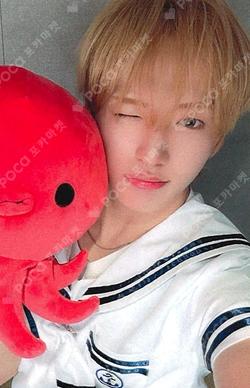 HOUSE OF TRICKY : SPUR INTERASIA