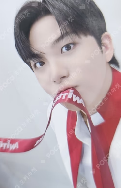 ATEEZ X ANITEEZ POP-UP EXHIBITION & STORE ANITEEZ IN THE CALLING HOODIE