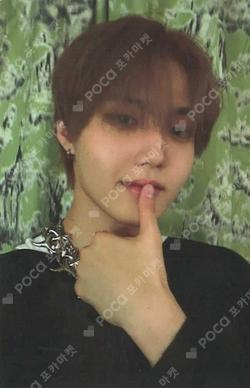 LOVE PULSE TEUME VER. DOYOUNG photocard image