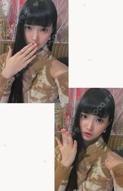 Rose Blossom DEAR MY MUSE SEOI photocard image