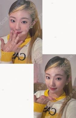 Rose Blossom DEAR MY MUSE YEL photocard image