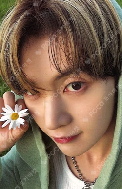 NEVER SAY NEVER DIGIPACK Ver.