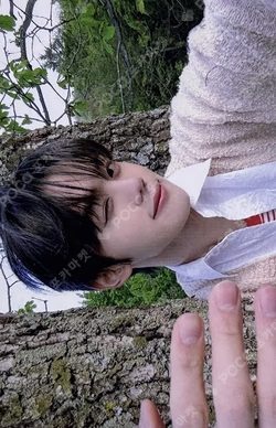 NEVER SAY NEVER BROADCAST