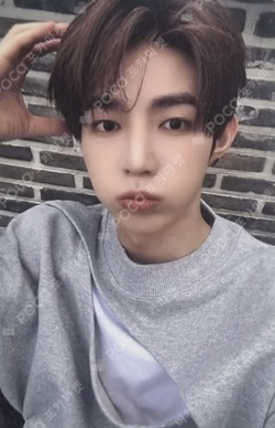 NEVER SAY NEVER DIGIPACK Ver. Mnet Plus Merch