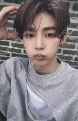 NEVER SAY NEVER DIGIPACK Ver. Mnet Plus Merch ZHANG HAO photocard image