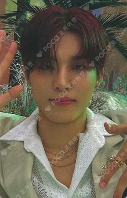 LOVE PULSE POP-UP STORE ALBUM PURCHASE BENEFITS PARK JEONG WOO photocard image