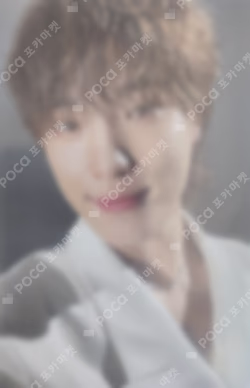SEVENTEEN WORLD TOUR [NEW_] Trading Card Set DINO photocard image
