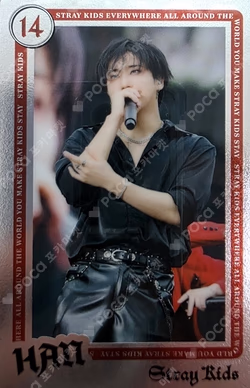 Stray Kids World Tour dominATE JAPAN RANDOM LIVE PHOTO CARD