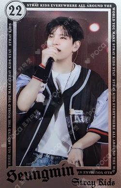 Stray Kids World Tour dominATE JAPAN RANDOM LIVE PHOTO CARD