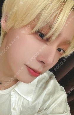 5x DEAR MY MUSE HWANWOONG photocard image